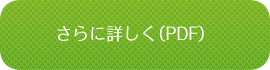 さらに詳しく（PDF）